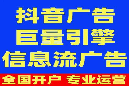 大型企业SEM外包实战案例