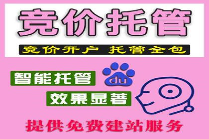 SEM竞价代运营公司实操案例分享